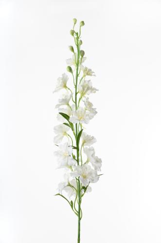 Ridderspore - Hvit - 90 cm - www.frokenfraken.se