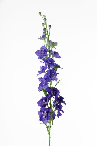 Ridderspore - Blå - 90 cm - www.frokenfraken.se