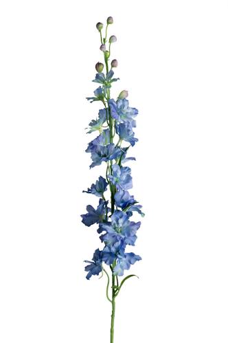 Ridderspore - Blå - 90 cm - www.frokenfraken.se