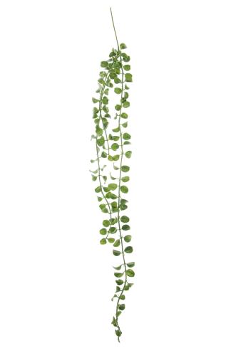 Senecio - Grønn - 80 cm - www.frokenfraken.se