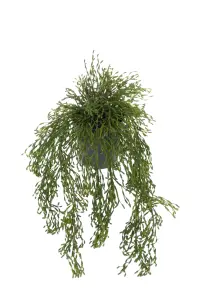 Rhipsalis - Grønn - 65 cm - www.frokenfraken.se