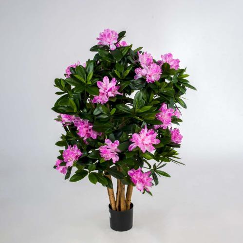 Rhododendron - Rosa - 80 cm - www.frokenfraken.se