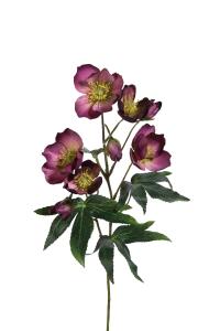 Julerose - Lilla - 57 cm - www.frokenfraken.se