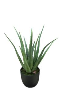 Aloe - Grønn - 55 cm - www.frokenfraken.se
