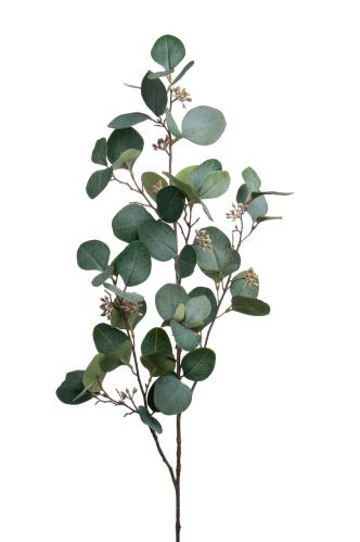 Eukalyptus med bær - Grønn - 100 cm - www.frokenfraken.se