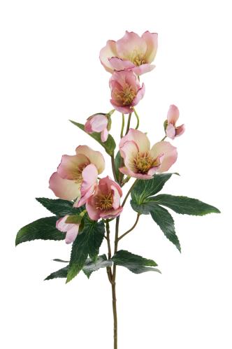 Julerose - Rosa - 57 cm - www.frokenfraken.se