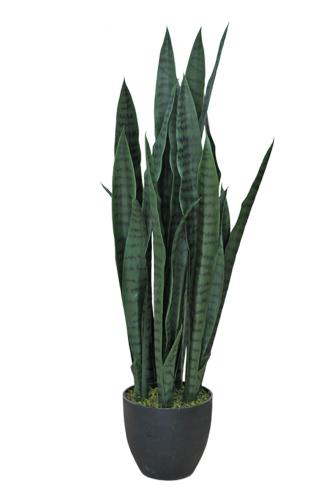 Sansiveria - Grønn - 85 cm - www.frokenfraken.se