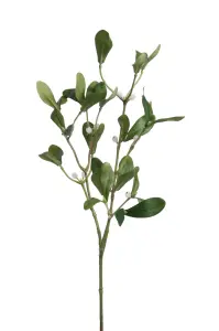 Mistel - Grønn - 60 cm - www.frokenfraken.se