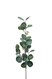 Eukalyptus med bær - Grønn - 70 cm - www.frokenfraken.se