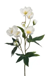 Julerose - www.frokenfraken.se