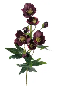 Julerose - www.frokenfraken.se
