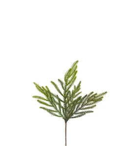 Grankvist - Grønn - 50 cm - www.frokenfraken.se