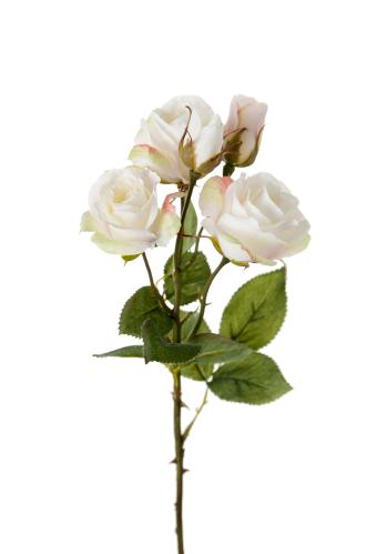 Ros - Hvit - 47 cm - www.frokenfraken.se