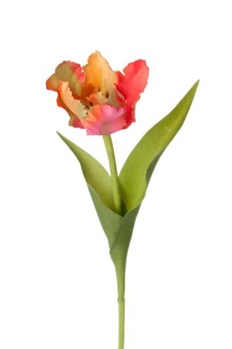 Tulipan - Rosa - 37 cm - www.frokenfraken.se