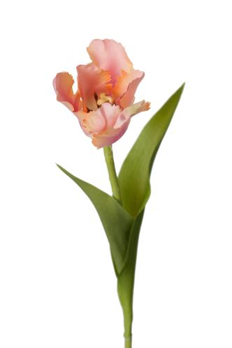 Tulipan - Oransje - 37 cm - www.frokenfraken.se