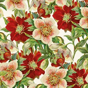 Serviett - Julerose - 33 x 33 cm - www.frokenfraken.se