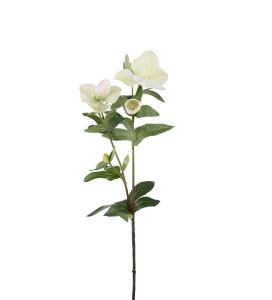 Julrose - Grønn - 63 cm - www.frokenfraken.se