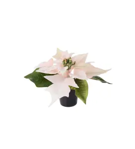 Julestjerne - Rosa - 10 cm - www.frokenfraken.se