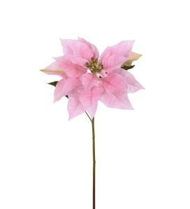 Julstjerne - Rosa - 70 cm - www.frokenfraken.se