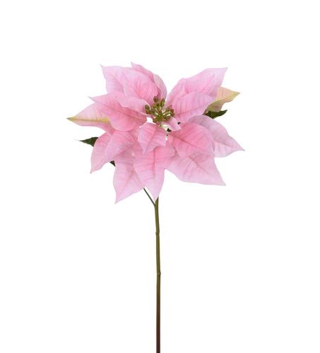 Julstjerne - Rosa - 70 cm - www.frokenfraken.se