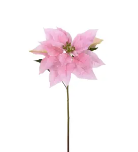 Julstjerne - Rosa - 70 cm - www.frokenfraken.se