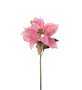 Julstjerne - Rosa - 70 cm - www.frokenfraken.se