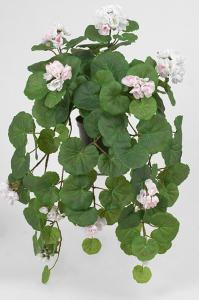 Hengende Geranium - Rosa - www.frokenfraken.se