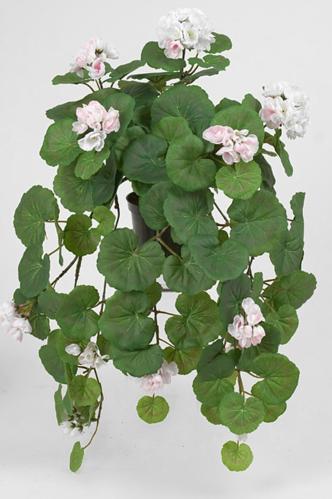 Hengende Geranium - Rosa - www.frokenfraken.se