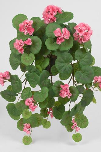 Hengende Geranium - Rosa - www.frokenfraken.se