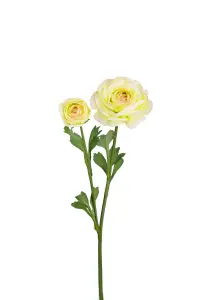Ranunculus - Grønn - 45 cm - www.frokenfraken.se