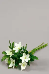 Vitsippor - Liten bukett - www.frokenfraken.se