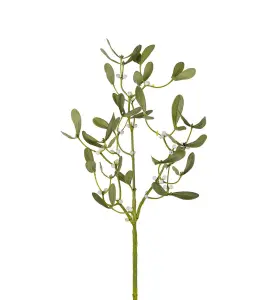 Mistelkvist - Grønn - 70 cm - www.frokenfraken.se