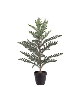 Rumsgran i krukke - Grå - 60 cm - www.frokenfraken.se