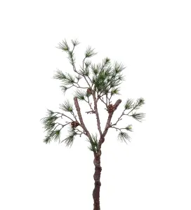 Tallgren med kottar - Grønn - 105 cm - www.frokenfraken.se