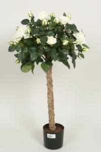 Rosenträd - Vit - 80 cm - www.frokenfraken.se
