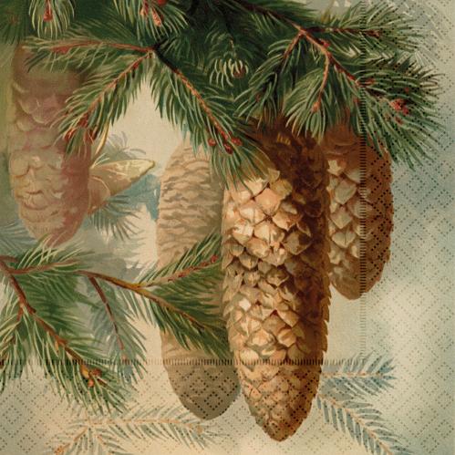 Serviett - Kottar - Granbar - 33 x 33 cm - www.frokenfraken.se