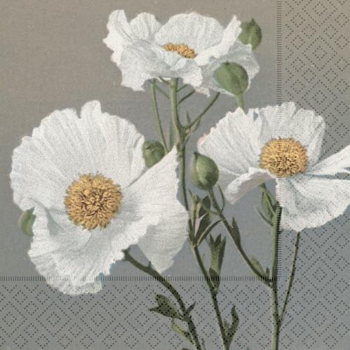 Serviett - Hvit valmue - 33 x 33 cm - www.frokenfraken.se
