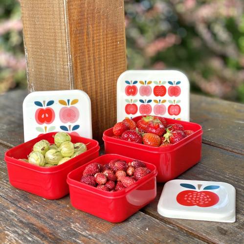 Snacksboks - Retro Vintage Apple - 3 størrelser - www.frokenfraken.se