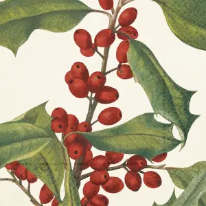 Serviett - Järnek - 33 x 33 cm - www.frokenfraken.se