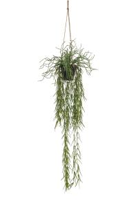 Rhipsalis - Grønn - 80 cm - www.frokenfraken.se