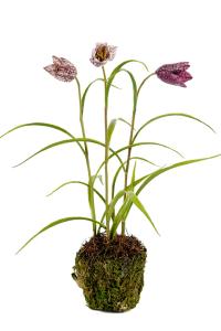 Frittilaria - Lilla - Kunstig Plante - 25 cm - www.frokenfraken.se
