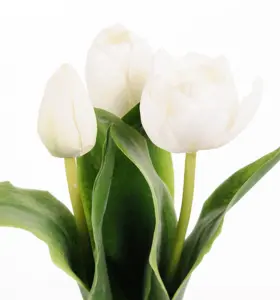 Tulipaner - 3-pakning - Hvite - 36cm - www.frokenfraken.se