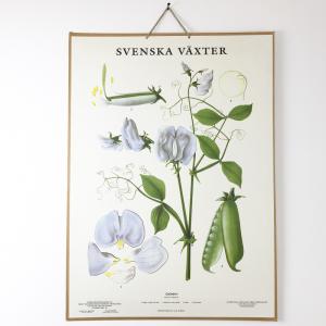 Skoleplansje - Søtposy - Montert - www.frokenfraken.se