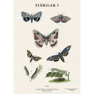 Skoleplansje - Sommerfugl - Liten - 32 x 45 cm - www.frokenfraken.se