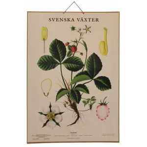 Skoleplansje - Markjordbær - Montert - www.frokenfraken.se