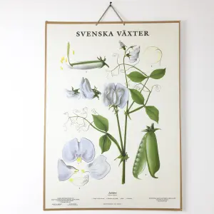 Skoleplansje - Søtposy - Montert - www.frokenfraken.se