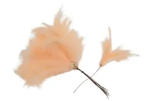 Fjær - Fjærvifte på tråd - Aprikos - 12-pakning - www.frokenfraken.se