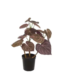 Anthurium - Grønn/rød - 65 cm - www.frokenfraken.se
