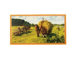 Bonad - hølass - 40 x 21 cm - www.frokenfraken.se