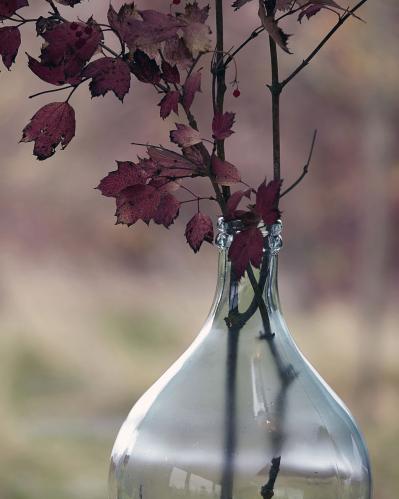 Glasflaske - Damejeanne - 43 cm - www.frokenfraken.se